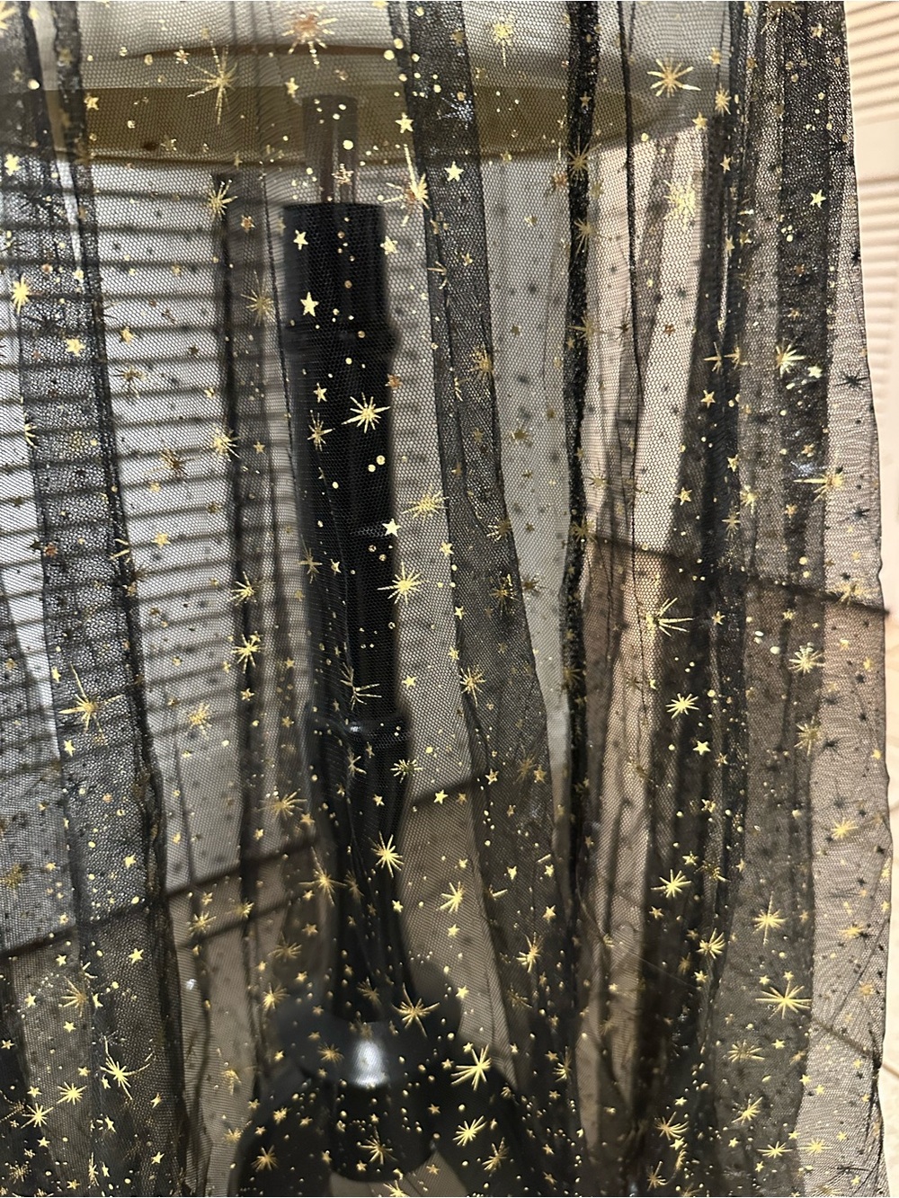 Sheer Black Star-Embellished Maxi Skirt - Picture 3 of 6